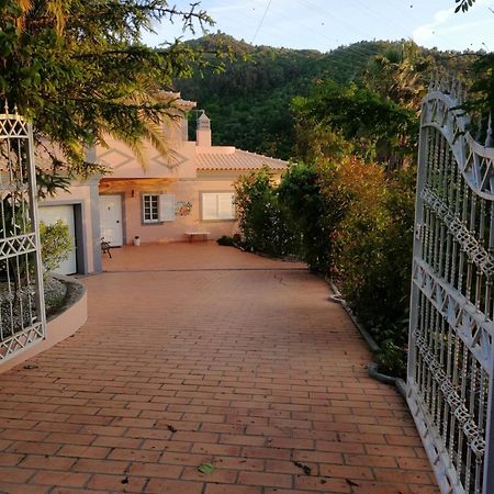Villa Casa Loureiro - Vista Rio Douro Resende Esterno foto