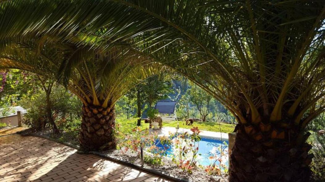 Villa Casa Loureiro - Vista Rio Douro Resende Esterno foto
