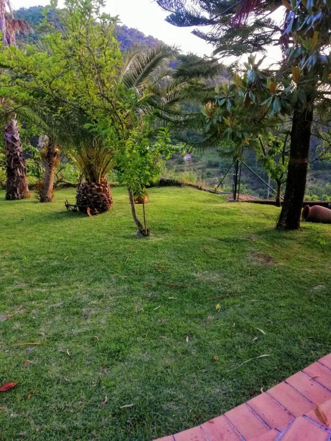 Villa Casa Loureiro - Vista Rio Douro Resende Esterno foto