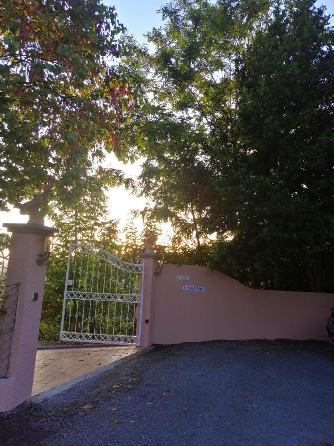 Villa Casa Loureiro - Vista Rio Douro Resende Esterno foto