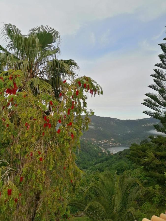Villa Casa Loureiro - Vista Rio Douro Resende Esterno foto