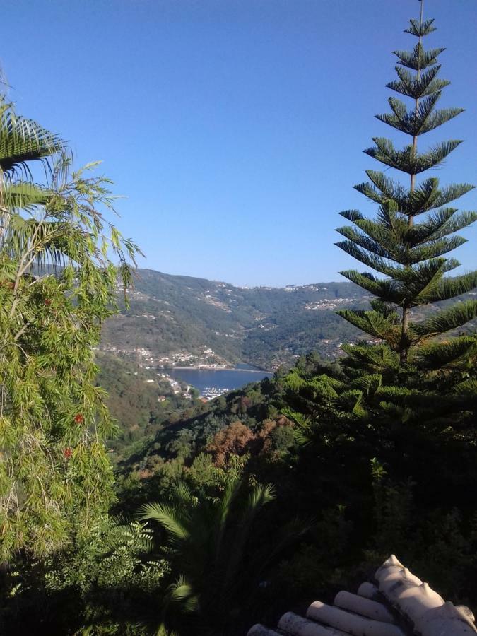 Villa Casa Loureiro - Vista Rio Douro Resende Esterno foto